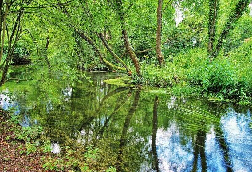 Charming 2 Bed Apartment In Eastleigh