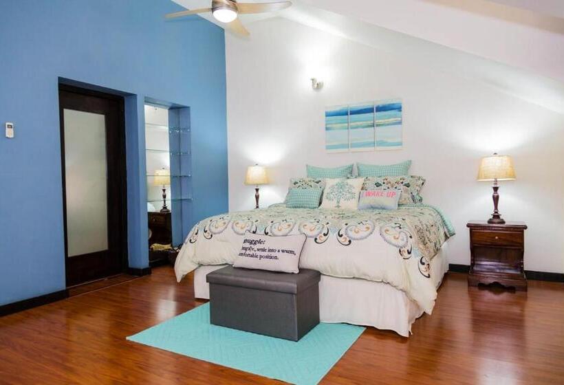 پانسیون Secluded Retreat In White River   Ocho Rios
