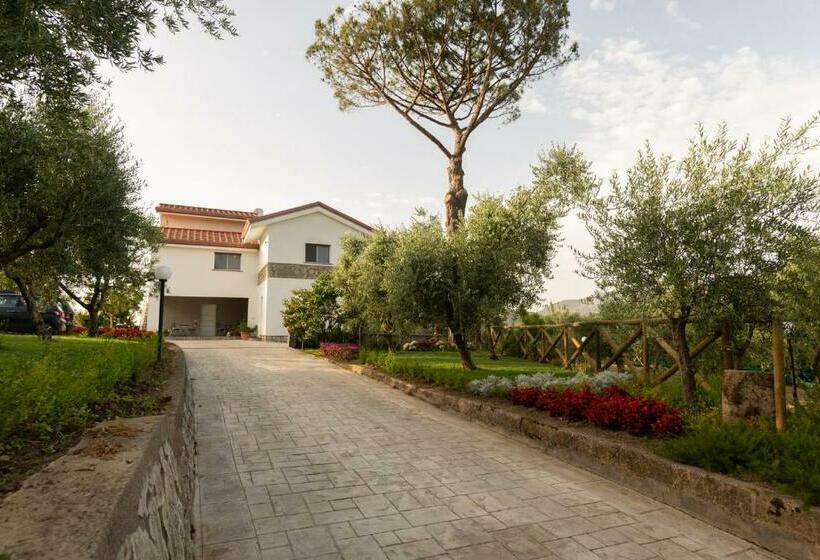 La Gesina B&b