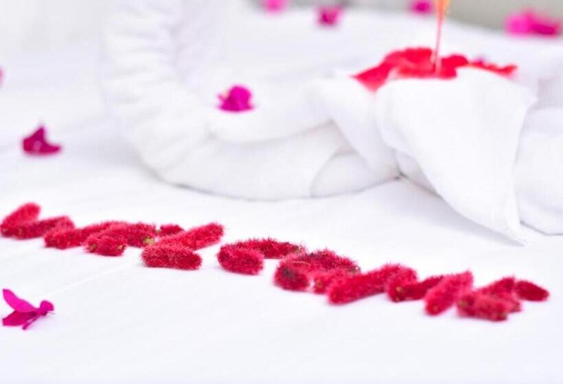 פנסיון Room In Bb   Sea Crest Hotel Zanzibar   2