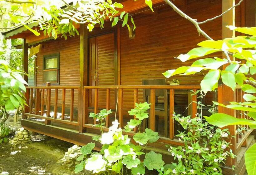 Bed and Breakfast Endemik Bungalov