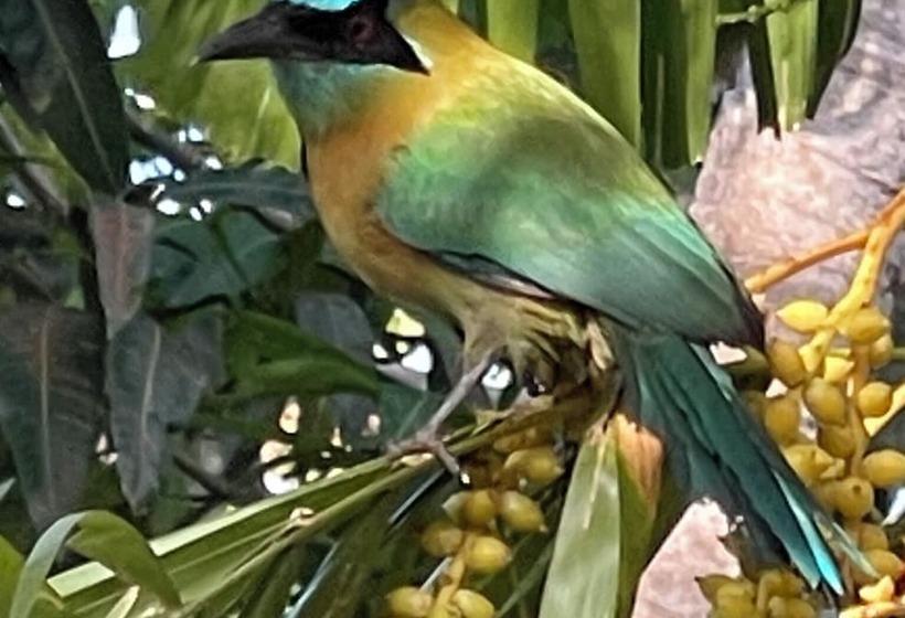 مبيت وإفطار Kasi At Paradise