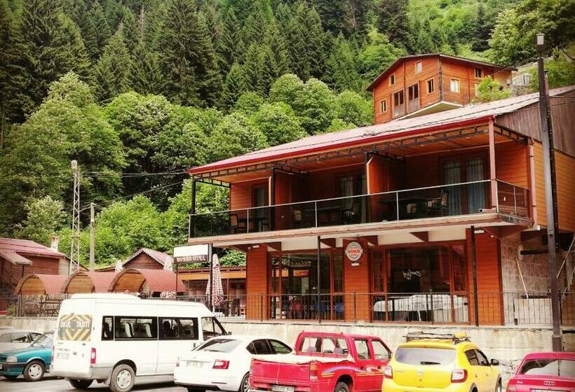 住宿加早餐  Ayder Doruk Otel