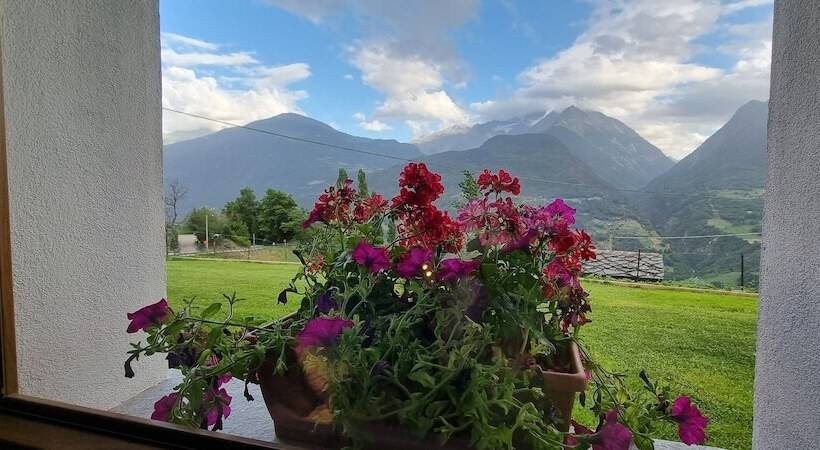 민박 Lo Noyer Et Les Roses