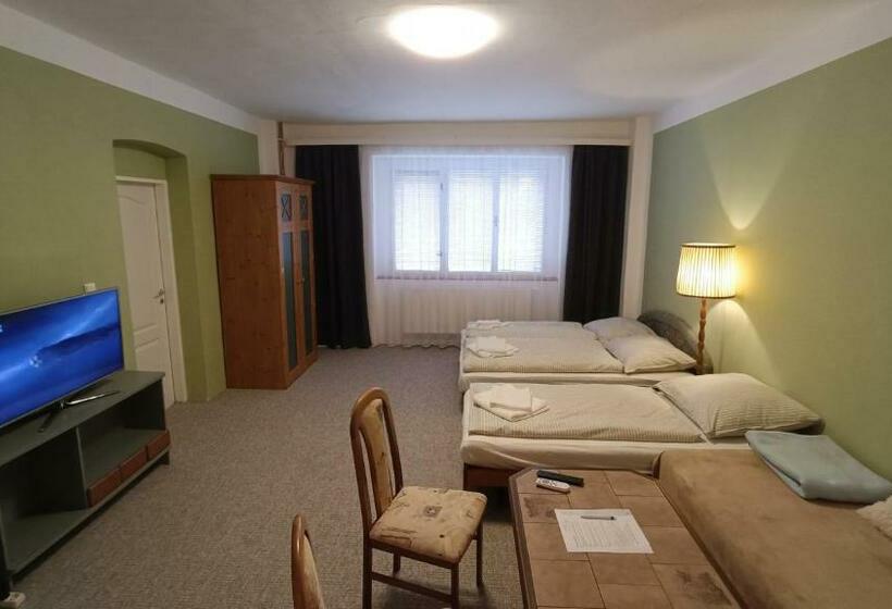 Пансион Apartmán Horní Slavkov Hodinářství