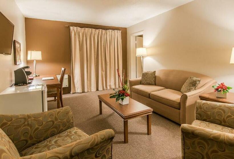 Bed and Breakfast De La Rive