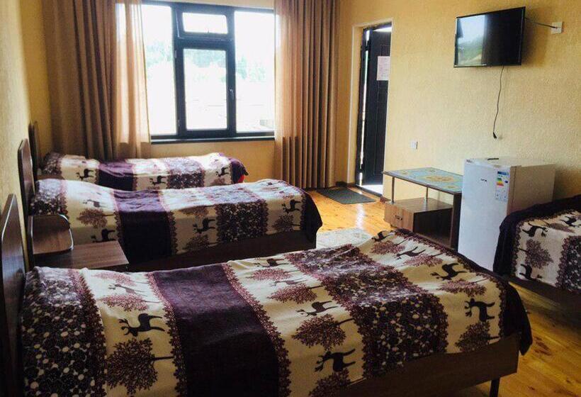 Pension Guest House Janel