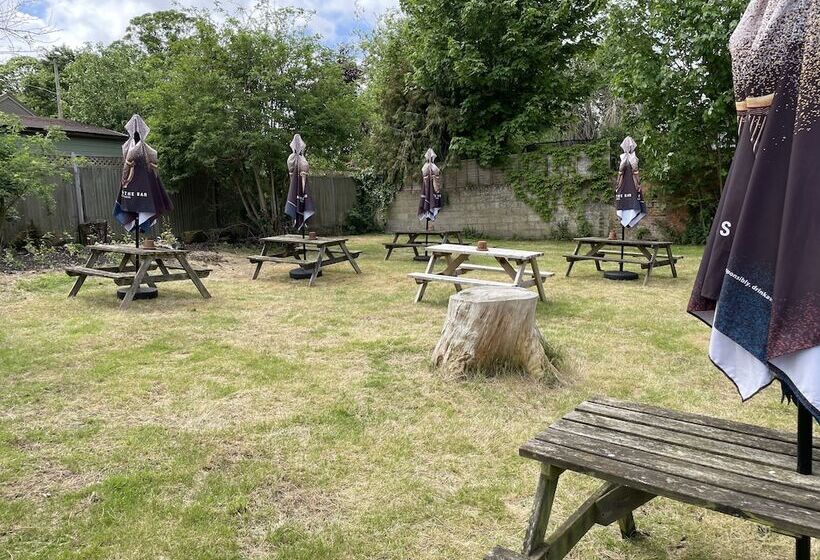مبيت وإفطار The Swan Inn