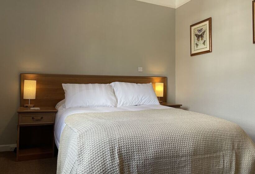 مبيت وإفطار The Swan Inn