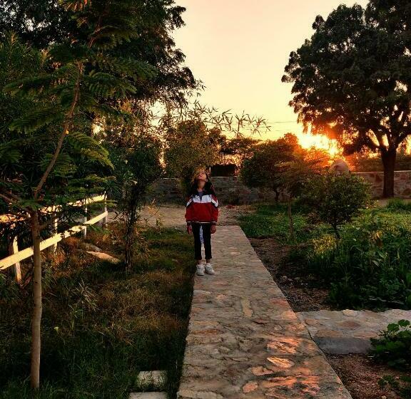 Отель Vriksh Jawai The Farm Stay