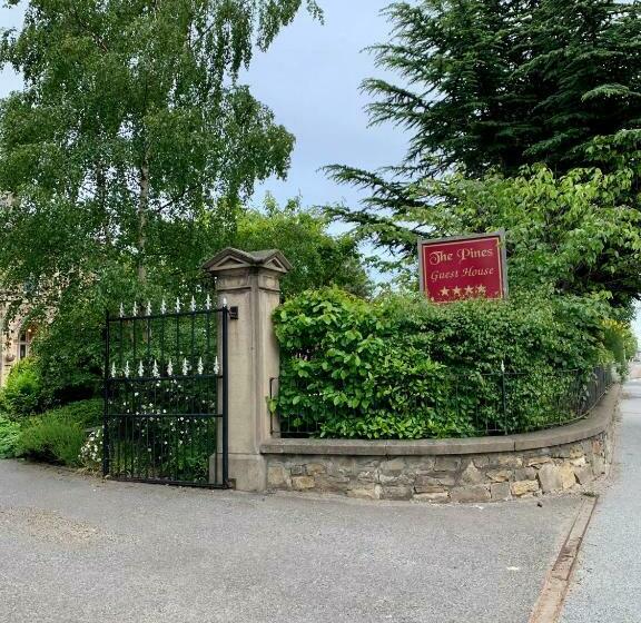 پانسیون The Pines Guest House