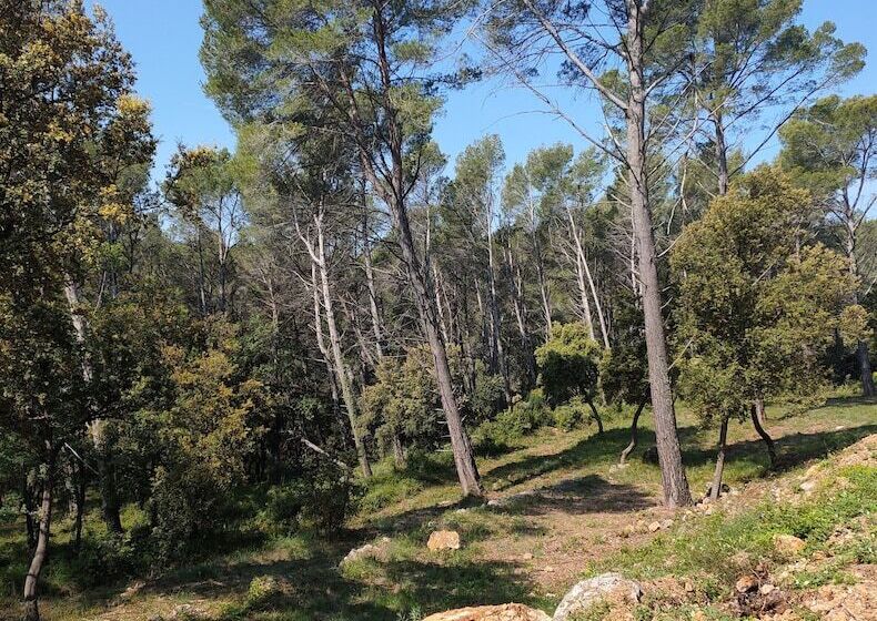 تختخواب و صبحانه Les Hauts Du Peireguier