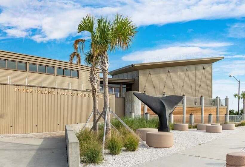 Captain Champs Castaway