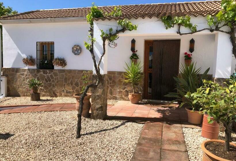 Bed and Breakfast Casa La Alegria 37