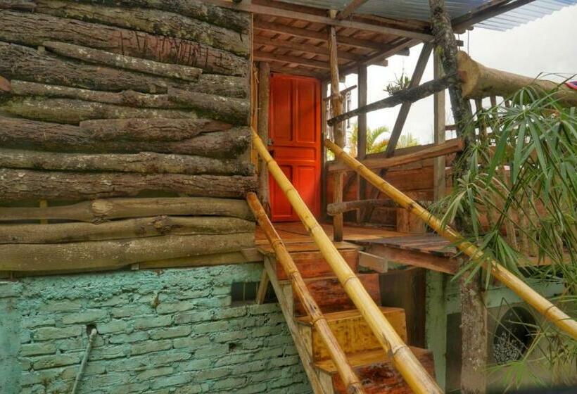 민박 Habitación Colibrí, Pijao, Finca Flora Del Río