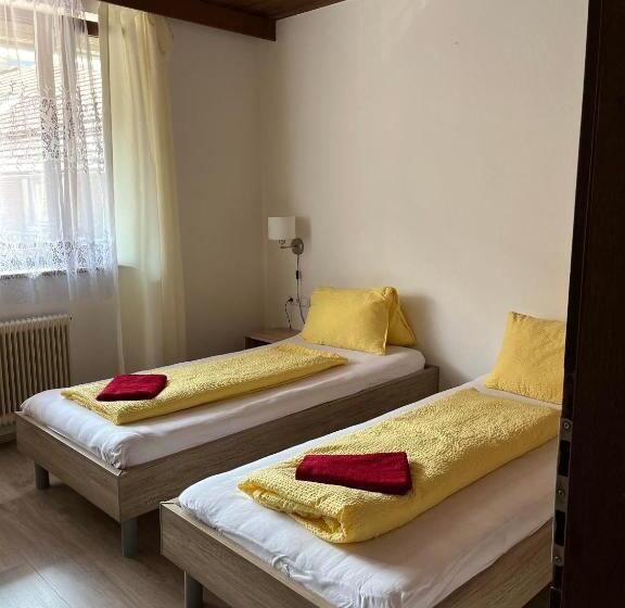 Bed and Breakfast Pension Steiner, Matrei Am Brenner !!no Late Check In,no Breakfast!!