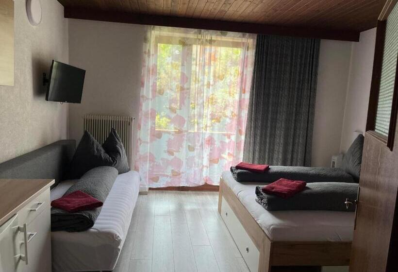 Bed and Breakfast Pension Steiner, Matrei Am Brenner !!no Late Check In,no Breakfast!!