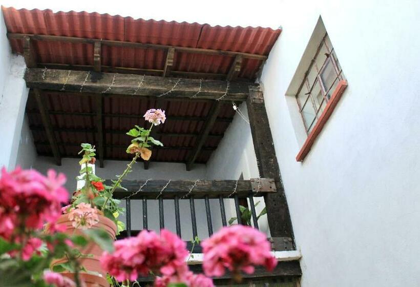 ホテル Casa Gardenia