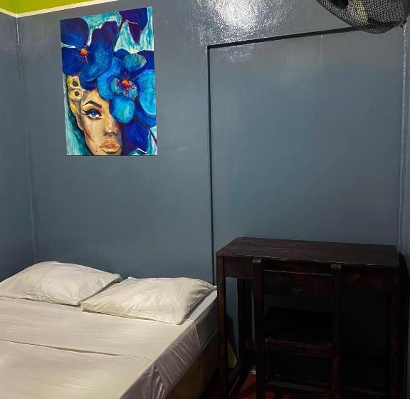 پانسیون Hostal Tortuga Viajera