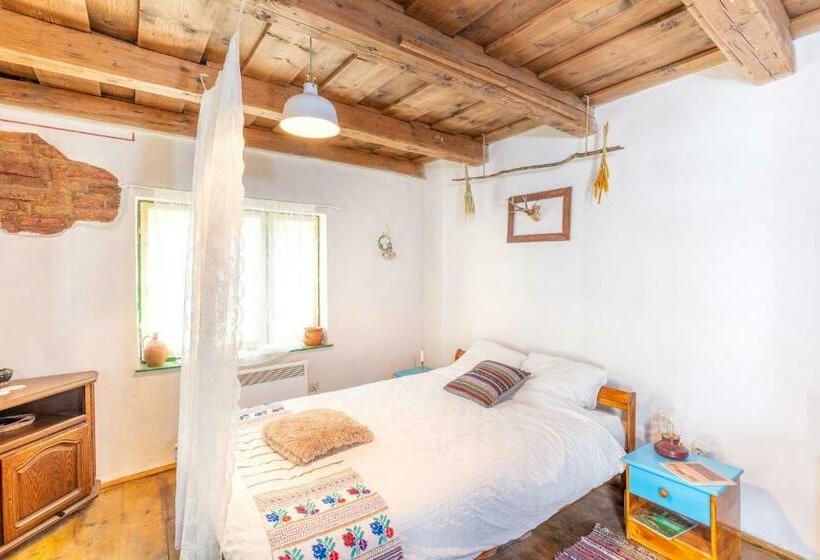 پانسیون Saschiz 130/lodging And Glamping