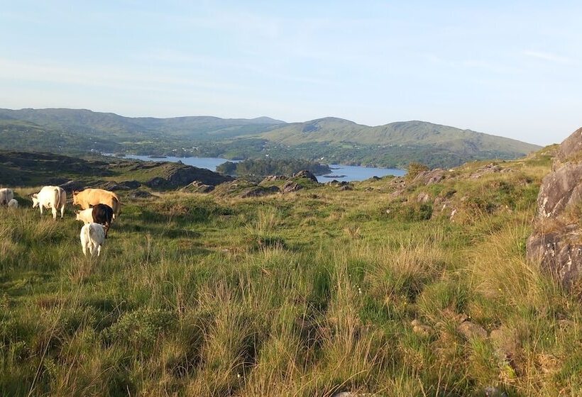 Cuckoo Tree House Glengarriff Beara Peninsula
