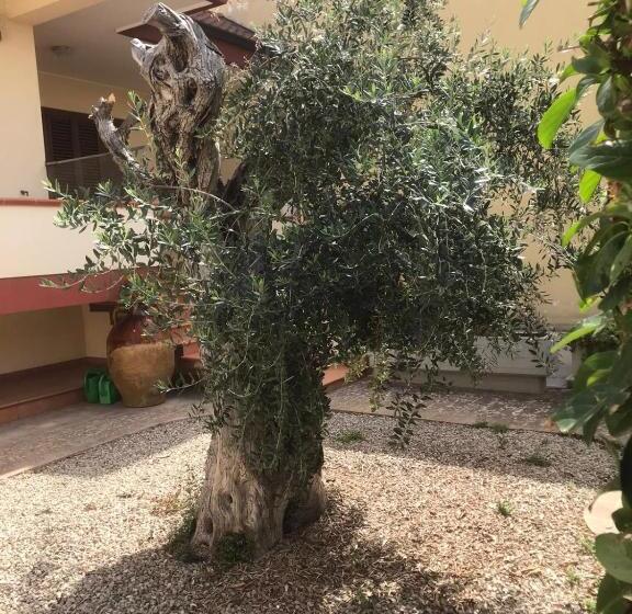 צימר Via Grottella 81   In Locazione Turistica