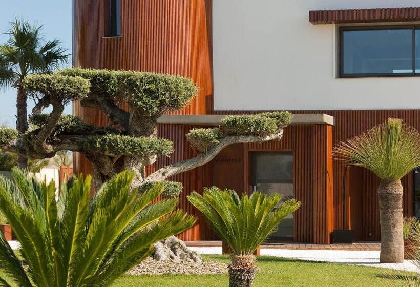 Bed and Breakfast Villa Miramar Frontignan