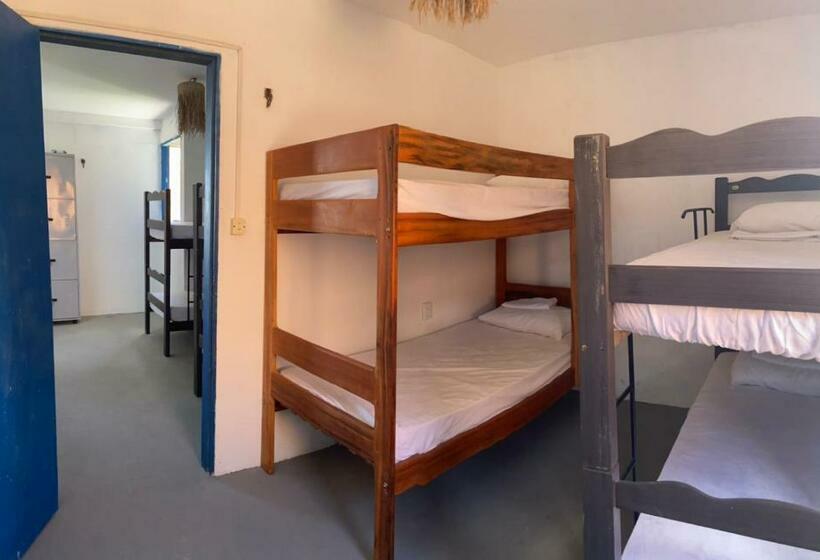 ユースホステル Beco Do Preá   Kite Apartamentos E Suítes Beira Mar