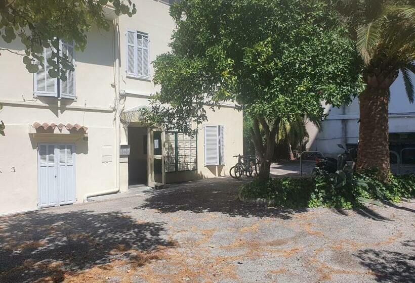 Les Palmiers Studio Cosy Proche Plages Et Centre