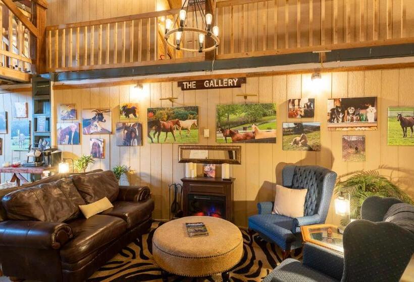 בית מלון כפרי Nicura Ranch Inn & Stables