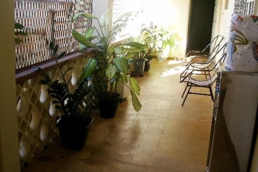 بنسيون Safari Tours