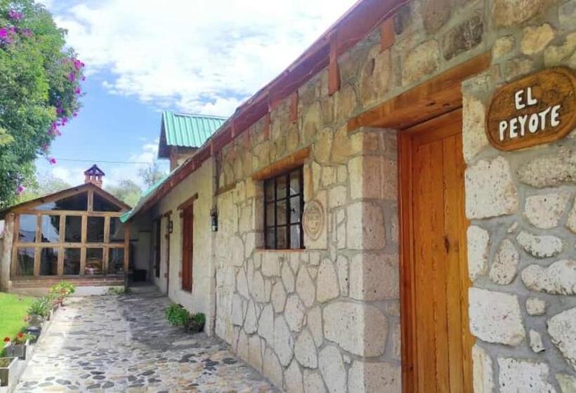 فندق Cabañas Los Cactus
