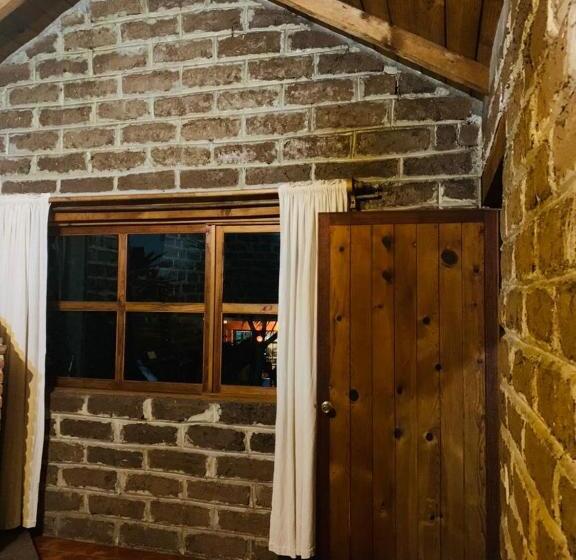 فندق Cabañas Los Cactus