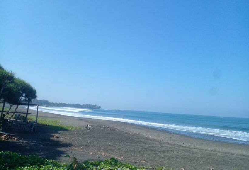 펜션 Medewi Good Vibes Surf&stay