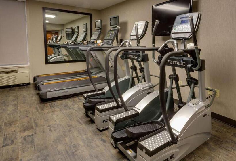 ホテル Drury Inn & Suites Hayti Caruthersville