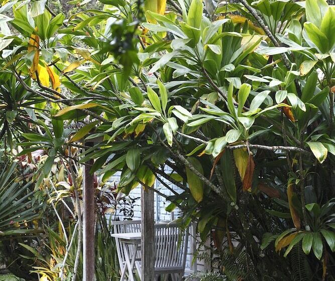 酒店 Pousada Capim Santo