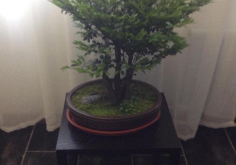 בית מלון כפרי Xi