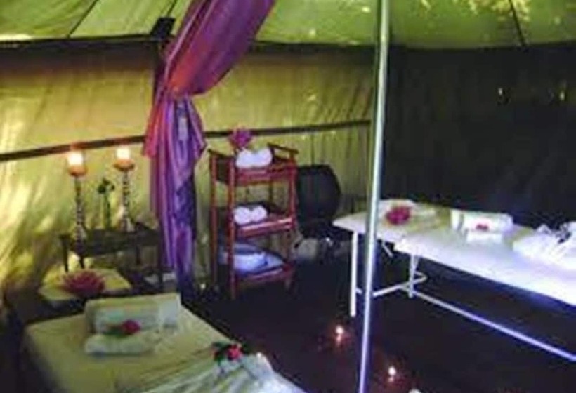 پانسیون Crane's Nest Guest House & Spa @ 313