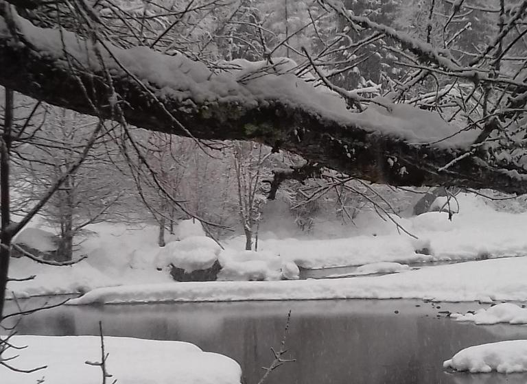 B & B Il Sottobosco