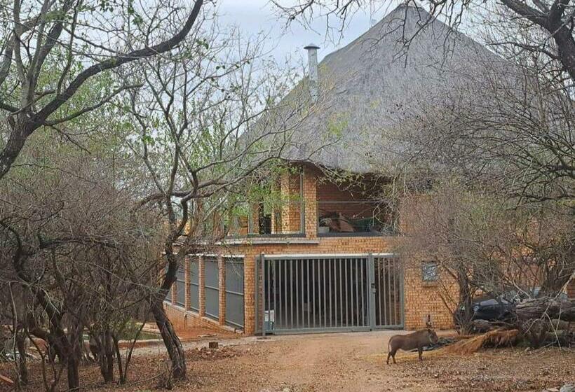 Bed and Breakfast Kaizen Honeybadger Lodge