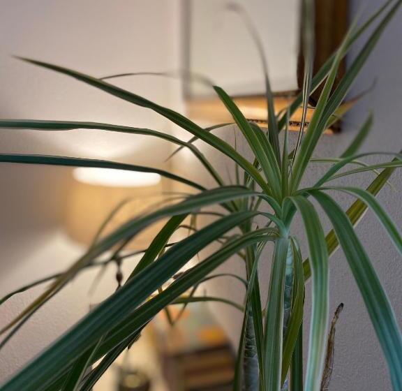 فندق صغير Locanda Le Ginestre