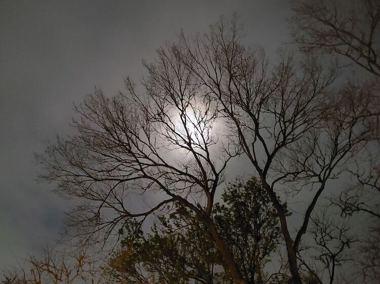 Cedar Oaks Inn The Barracks