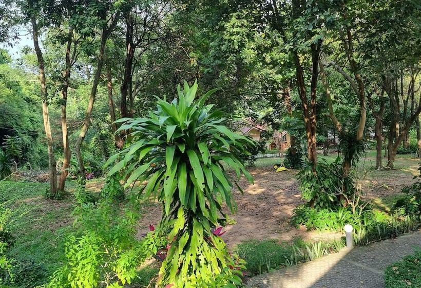 Pawpaw Resort