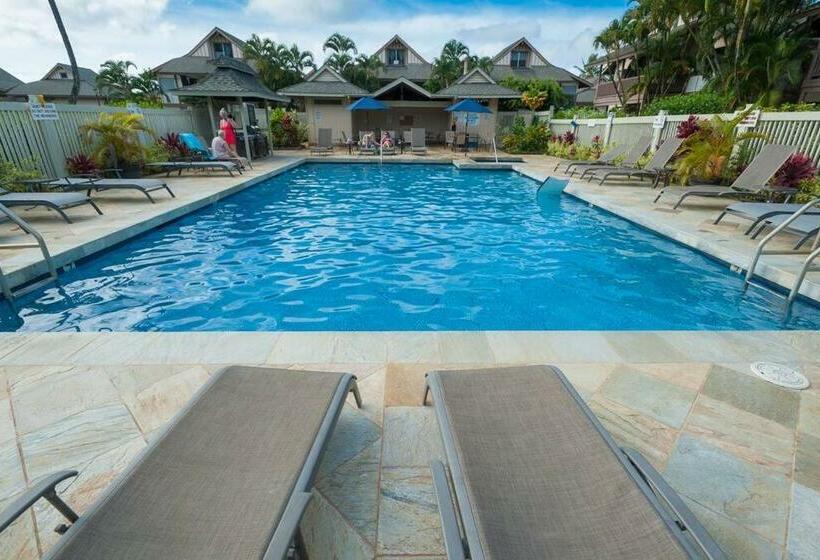 Sp119b   Adorable, Affordable Studio, With Pool And Hot Tub, New Bed!