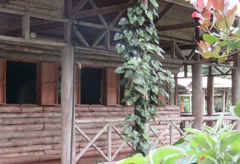 호스텔 Centro Ecológico Montaña Verde