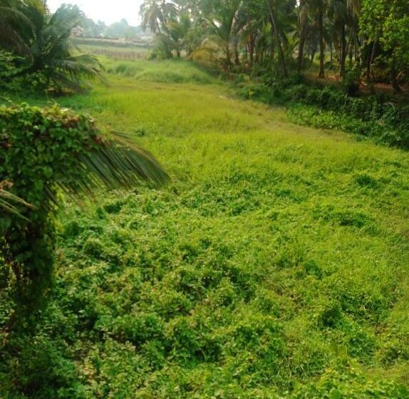 Bed and Breakfast Heaven Goa Guesthouse