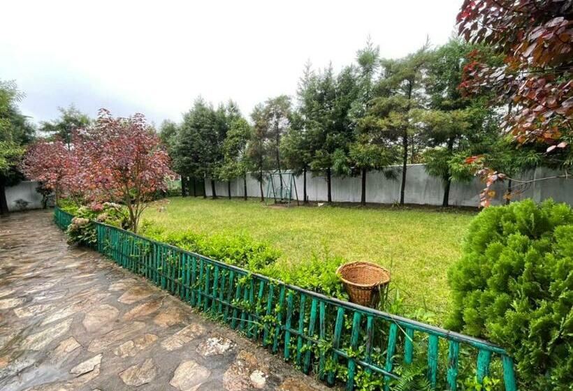 Bed and Breakfast Odyssey Stays Jowai West Jaintia Hills