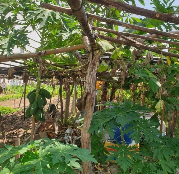 هتل Khách Sạn Chinh Quỳnh
