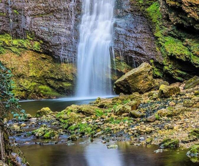مبيت وإفطار Al Picchio Verde A.p.s