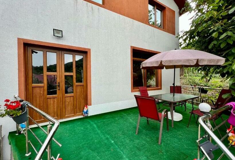 Casa Camelia